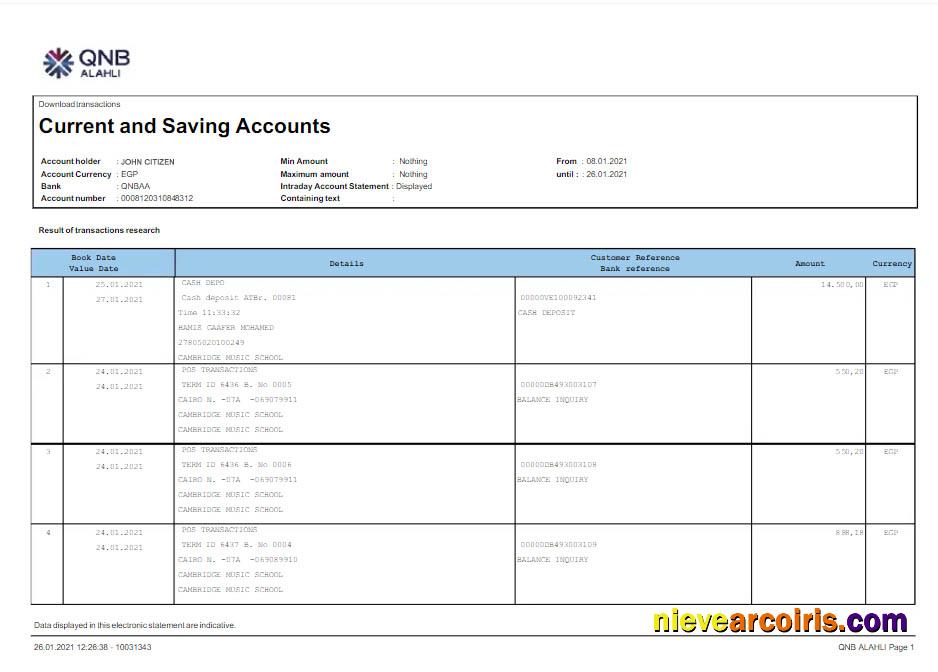 Qatar QNB ALAHLI bank statement Word and PDF scr